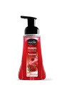 58719_500-foam-pomegranate.png