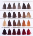 RR-LINE-FARBA-nowa paleta3.jpg